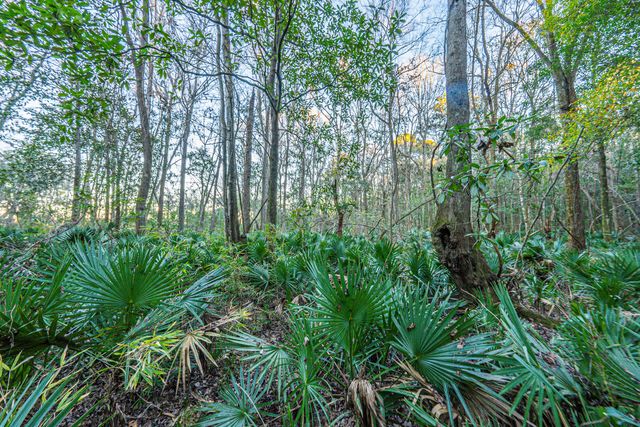 19 Middleton Oaks Road, Charleston, SC 29414