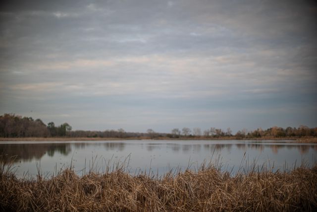 19 Middleton Oaks Road, Charleston, SC 29414