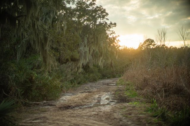 19 Middleton Oaks Road, Charleston, SC 29414