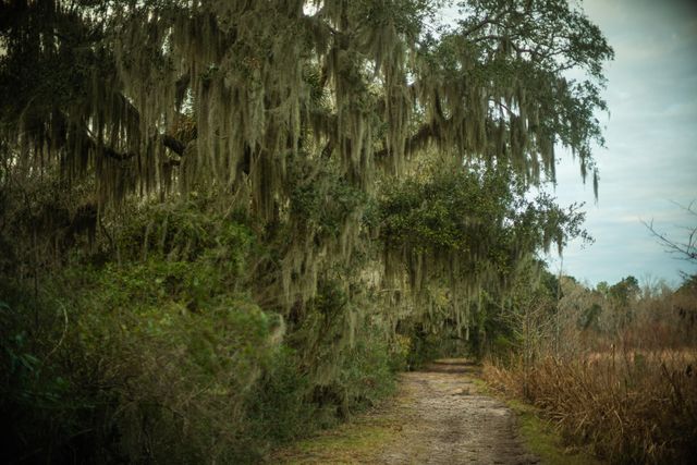 19 Middleton Oaks Road, Charleston, SC 29414