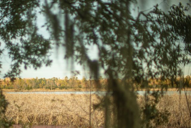 19 Middleton Oaks Road, Charleston, SC 29414