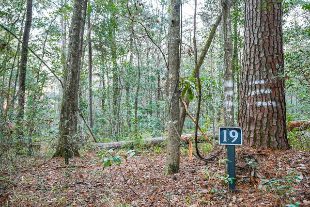 19 Middleton Oaks Road, Charleston, SC 29414