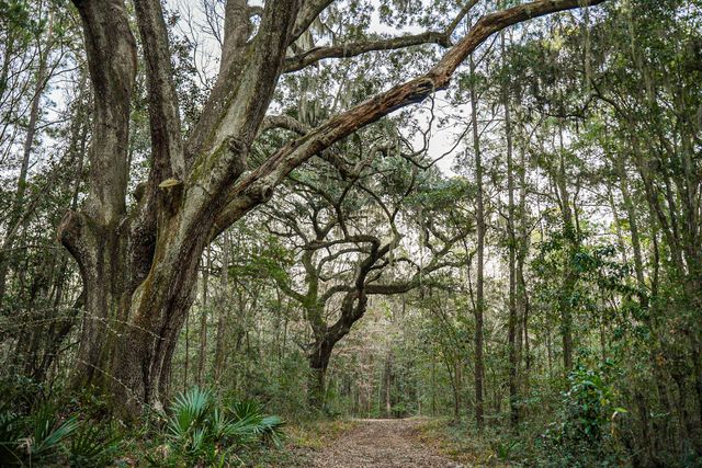 19 Middleton Oaks Road, Charleston, SC 29414