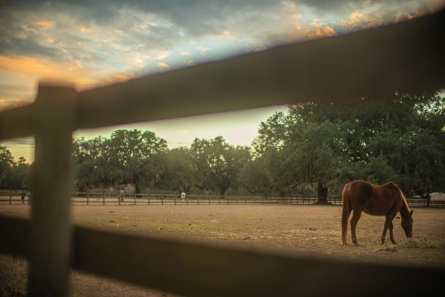 19 Middleton Oaks Road, Charleston, SC 29414