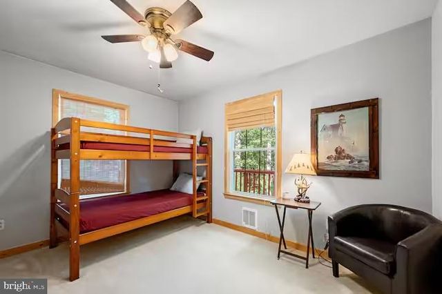 393 TIMBER RUN RD, Mathias, WV 26812