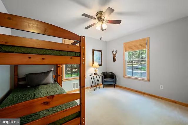 393 TIMBER RUN RD, Mathias, WV 26812