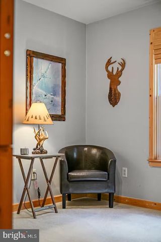 393 TIMBER RUN RD, Mathias, WV 26812