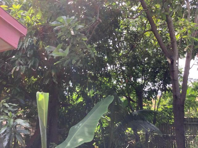 424 59th Street, West Palm Beach, FL 33407