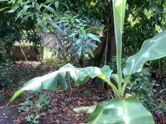 424 59th Street, West Palm Beach, FL 33407