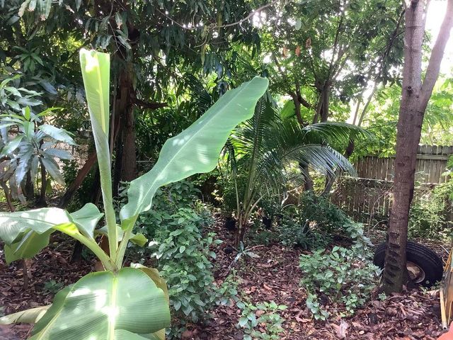 424 59th Street, West Palm Beach, FL 33407