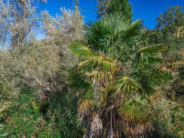 1873 Dellwood Drive, Grants Pass, OR 97526