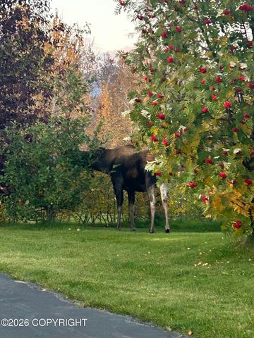 5403 N Sandalwood Lane, Palmer, AK 99645