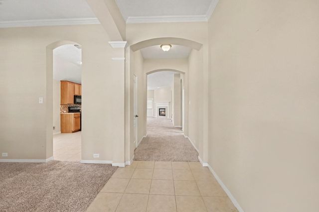 20107 Monarda Manor Court, Spring, TX 77379