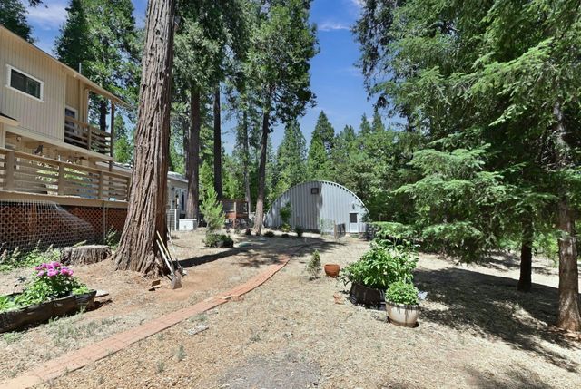 26476 Spring Rd, Pioneer, CA 95666