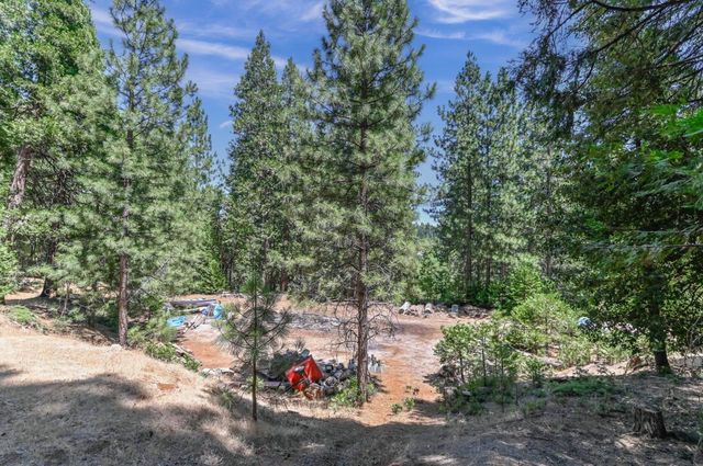 26476 Spring Rd, Pioneer, CA 95666