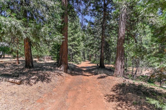 26476 Spring Rd, Pioneer, CA 95666