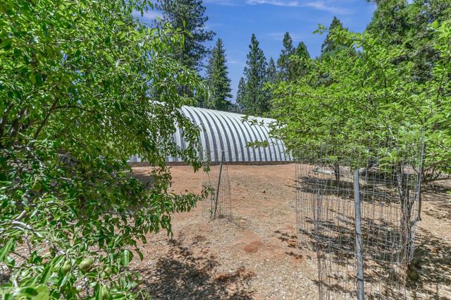 26476 Spring Rd, Pioneer, CA 95666