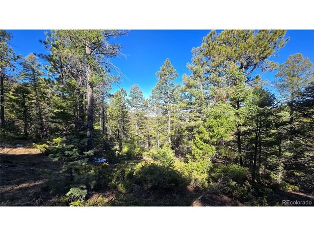 6034 Wood Rd, San Luis, CO 81152