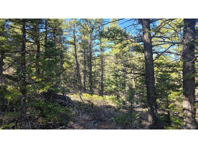 6034 Wood Rd, San Luis, CO 81152