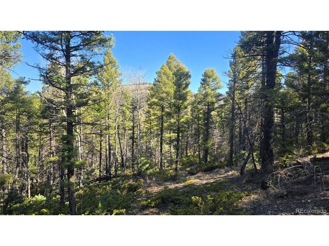 6034 Wood Rd, San Luis, CO 81152