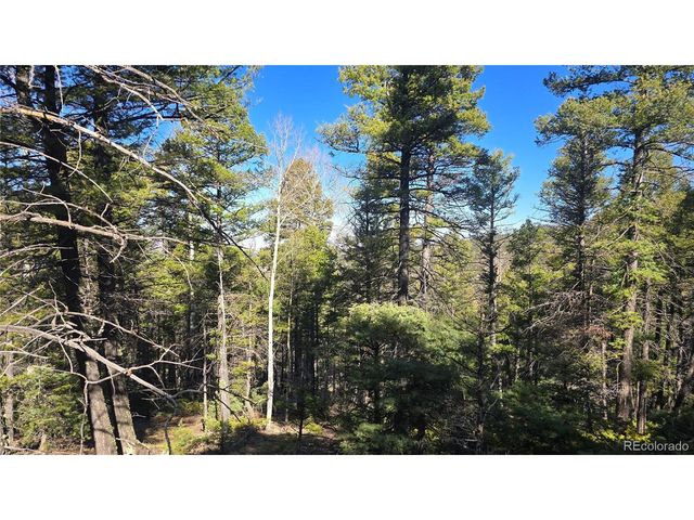 6034 Wood Rd, San Luis, CO 81152