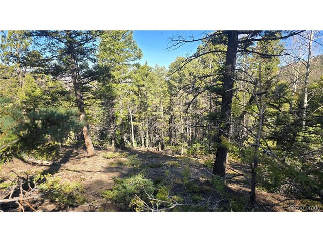 6034 Wood Rd, San Luis, CO 81152