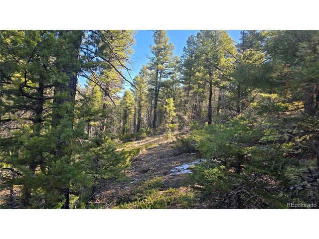 6034 Wood Rd, San Luis, CO 81152