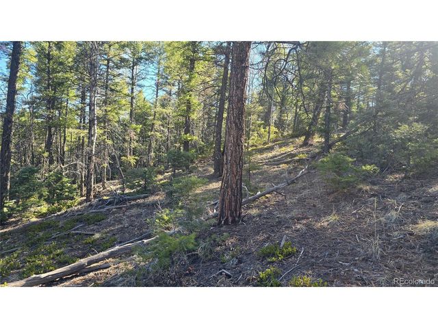 6034 Wood Rd, San Luis, CO 81152