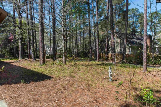 18 Chinquapin Court, Columbia, SC 29212