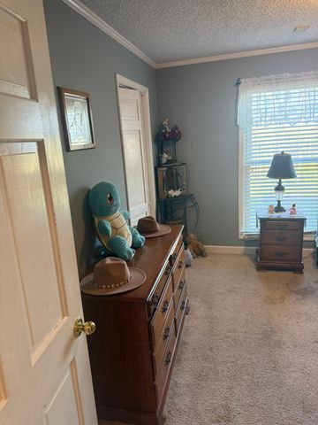 353 Golf Club Rd, Mcminnville, TN 37110