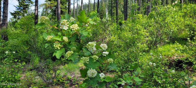 NNA Snowcat Lane Tract 2, Bonners Ferry, ID 83805