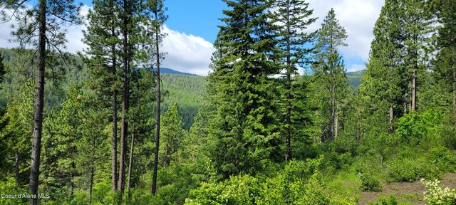 NNA Snowcat Lane Tract 2, Bonners Ferry, ID 83805