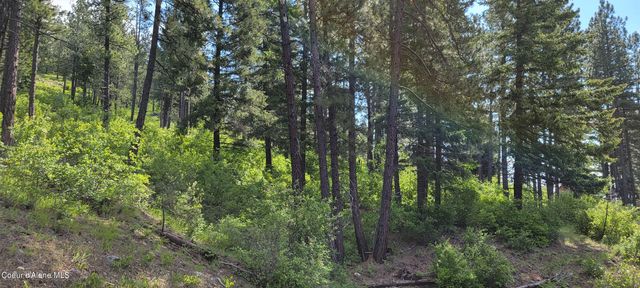 NNA Snowcat Lane Tract 2, Bonners Ferry, ID 83805