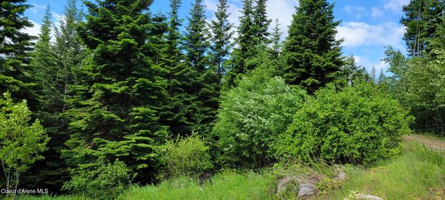 NNA Snowcat Lane Tract 2, Bonners Ferry, ID 83805