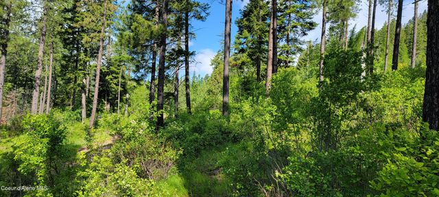 NNA Snowcat Lane Tract 2, Bonners Ferry, ID 83805