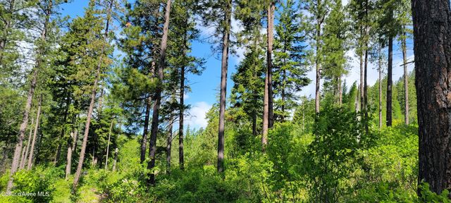 NNA Snowcat Lane Tract 2, Bonners Ferry, ID 83805
