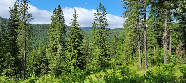 NNA Snowcat Lane Tract 2, Bonners Ferry, ID 83805