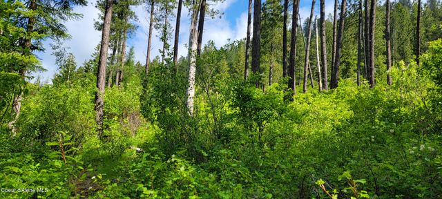 NNA Snowcat Lane Tract 2, Bonners Ferry, ID 83805