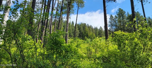 NNA Snowcat Lane Tract 2, Bonners Ferry, ID 83805