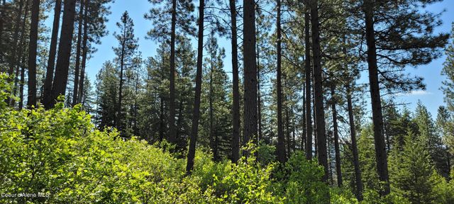 NNA Snowcat Lane Tract 2, Bonners Ferry, ID 83805