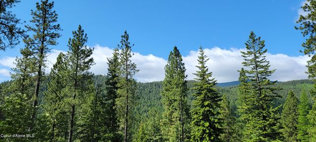 NNA Snowcat Lane Tract 2, Bonners Ferry, ID 83805