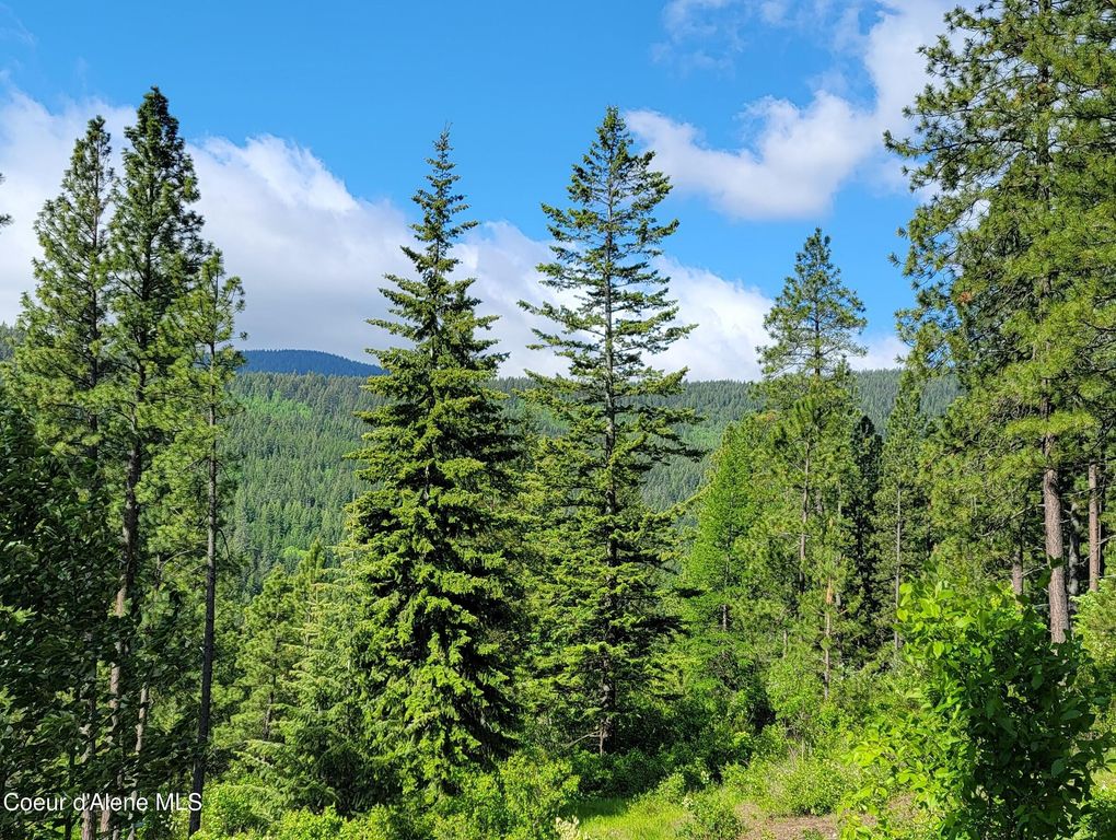 NNA Snowcat Lane Tract 2, Bonners Ferry, ID 83805