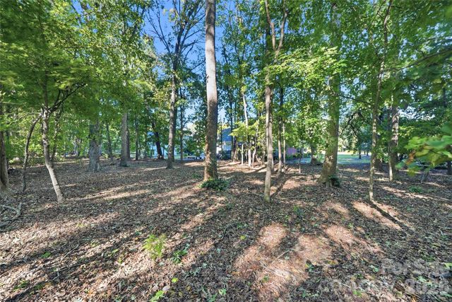 1121 Hillshire Meadow Drive, Matthews, NC 28105