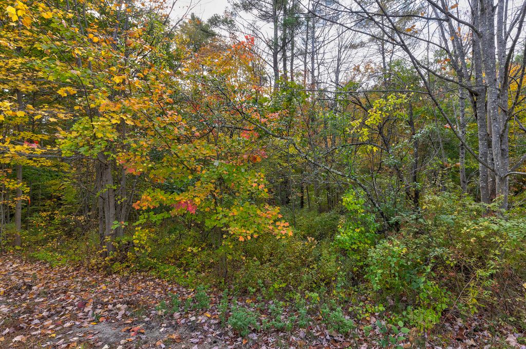 45-28 Fairview Avenue, Gray, ME 04039 — photo 5