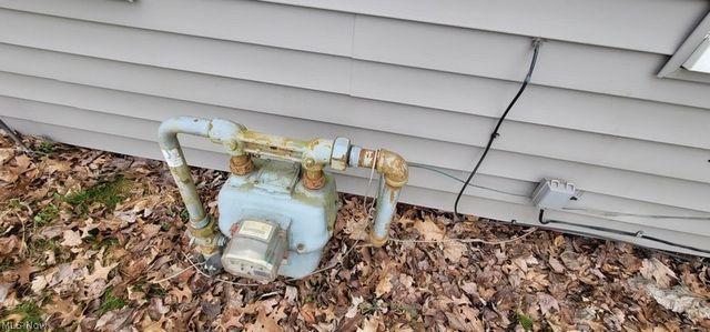 508 Dodge Street, Kent, OH 44240