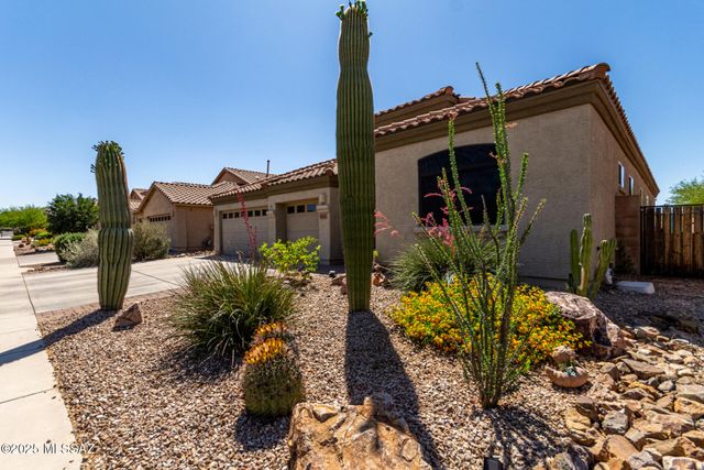 8133 N High Branch Drive, Tucson, AZ 85743