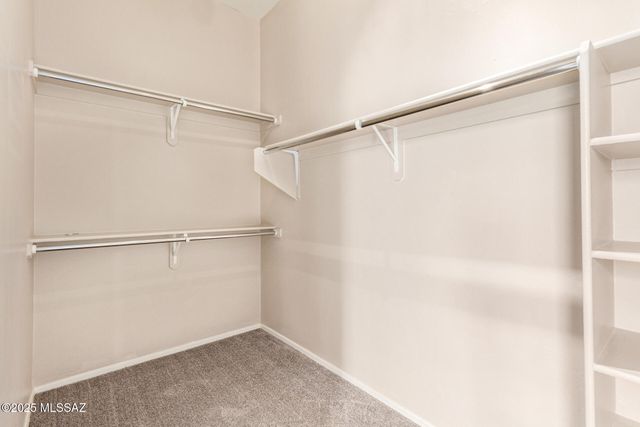 8133 N High Branch Drive, Tucson, AZ 85743