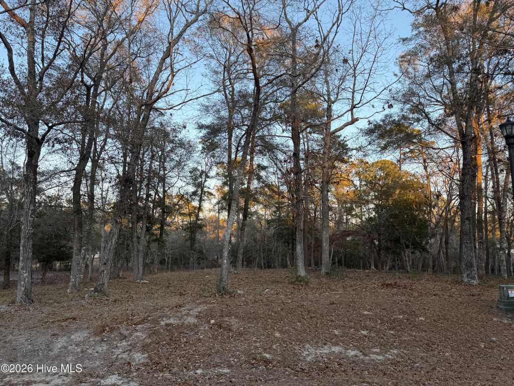 1762 Oyster Harbour Parkway SW, Supply, NC 28462