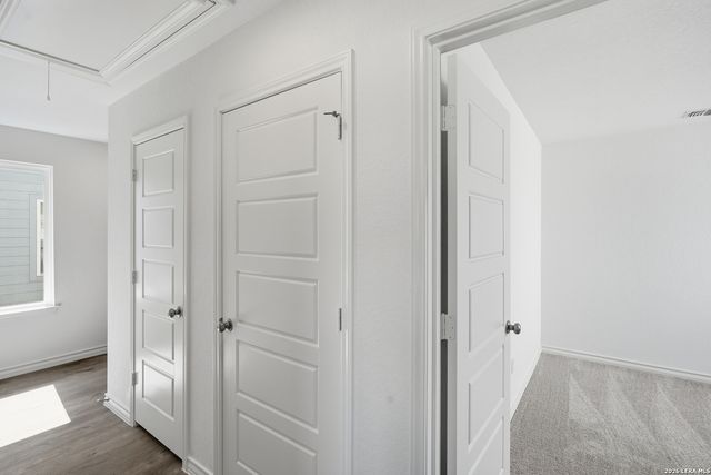 1343 Vallarta Centro, Converse, TX 78109