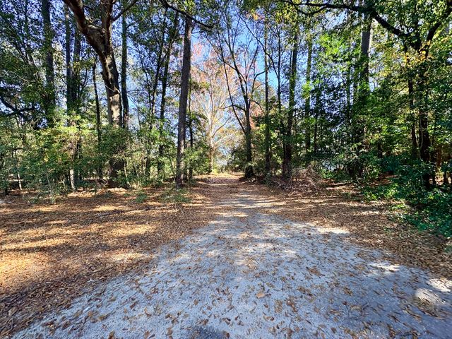 1409 Fairview Road, Pelion, SC 29123